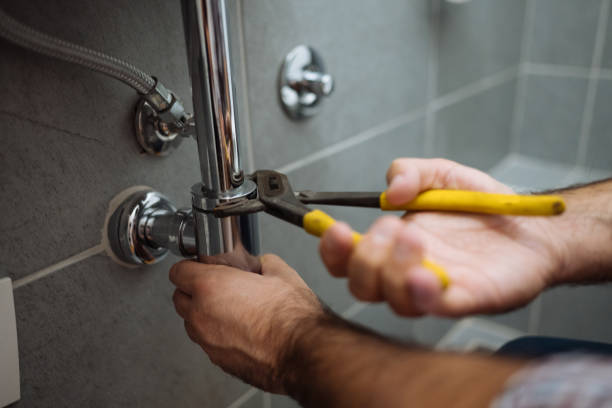 Best Residential Plumbing Services  in Loyola, CA